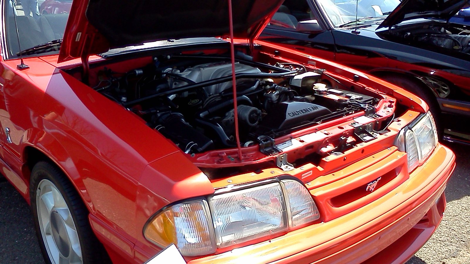 1993 Ford Mustang SVT Cobra