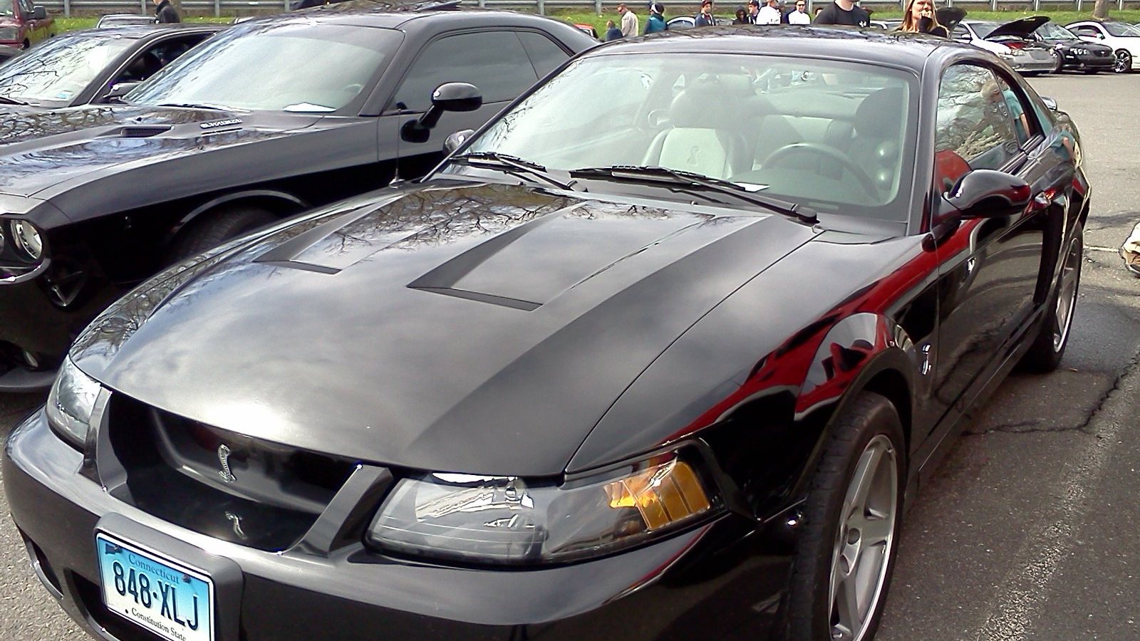 2003 Ford Mustang SVT Cobra